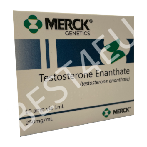 Testosterone Enanthate 250mg (MERCK GENETICS)
